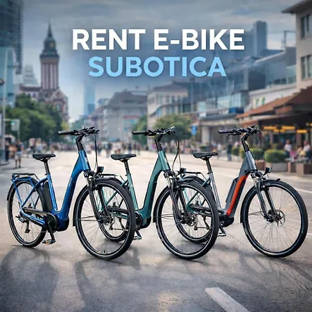 Cool & Cozy Center *