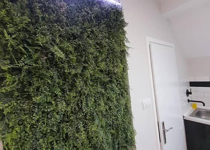 Cool & Cozy Center Σουμπότικα